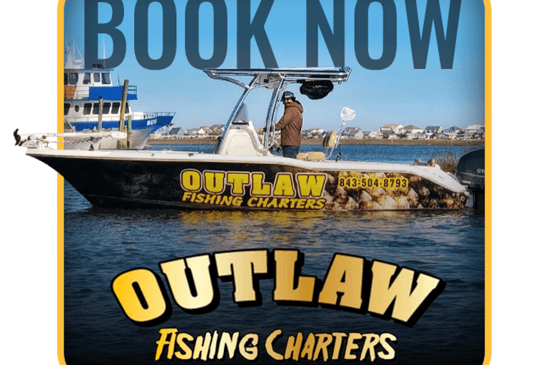 Outlaw