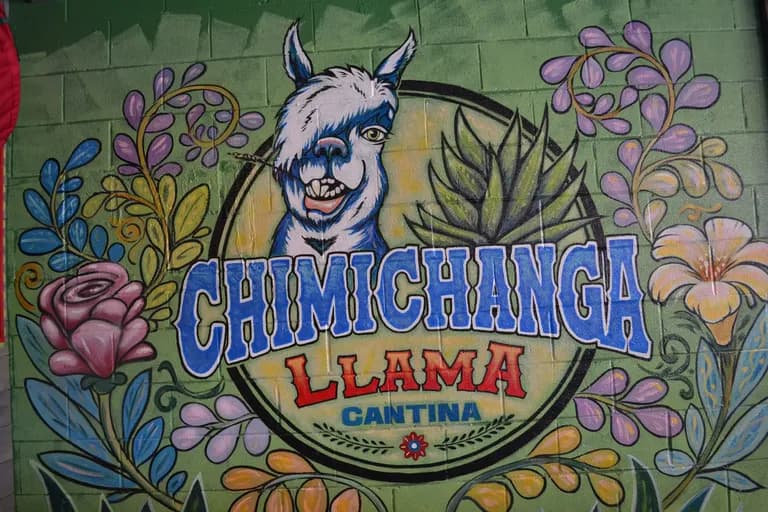 Chimichanga Llama