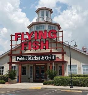Flying Fish